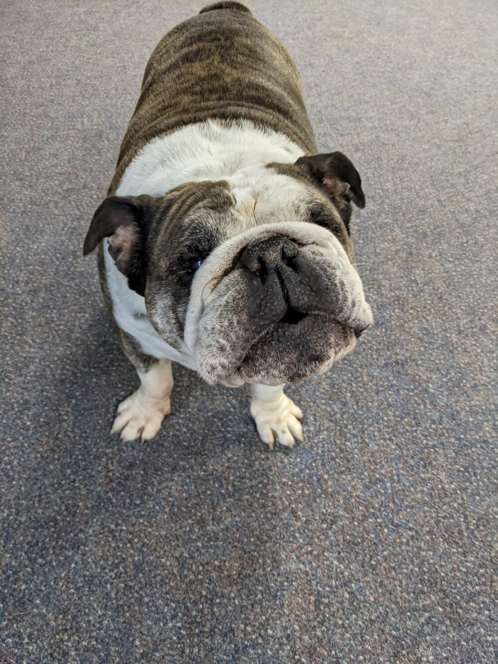 Diesel